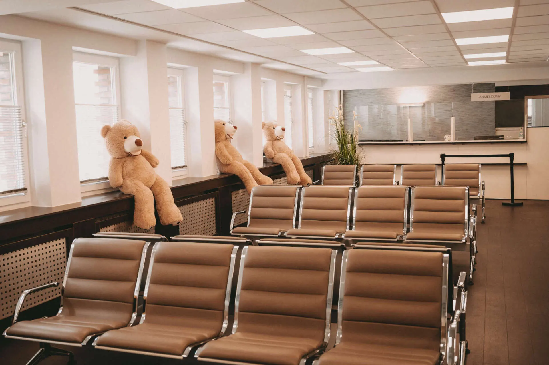Wartebereich mit Ledersesseln und Teddybären auf der Fensterbank